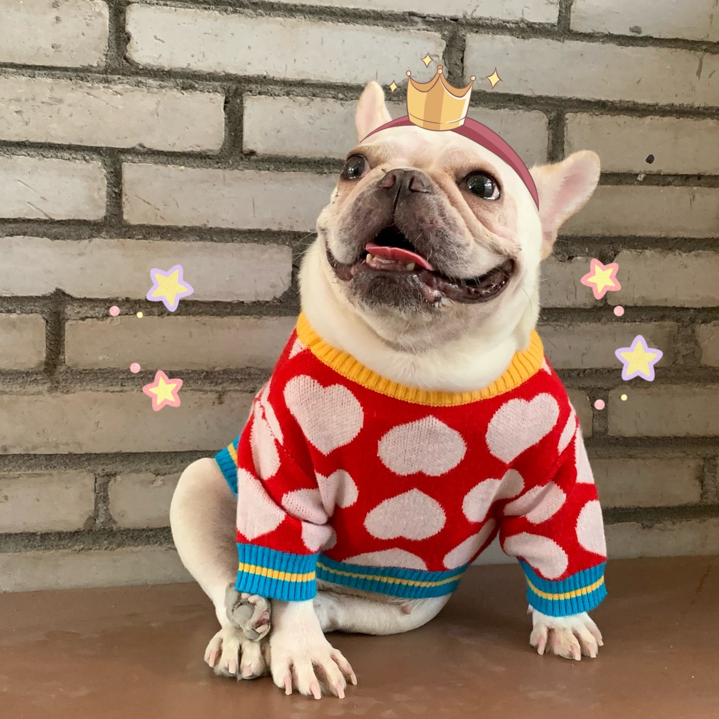 Pet Sweater, Warm Dog Sweater For Cold Weather