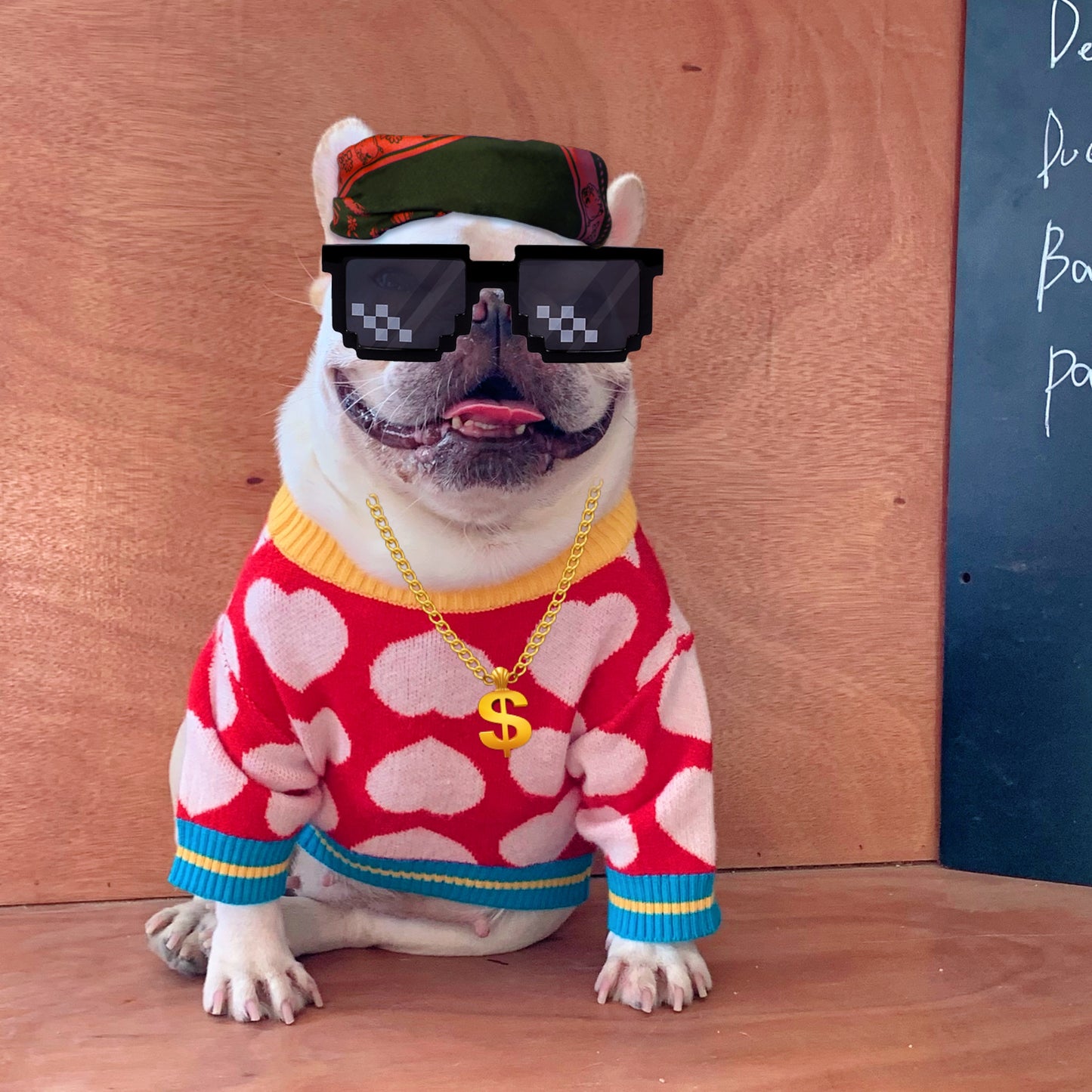 Pet Sweater, Warm Dog Sweater For Cold Weather