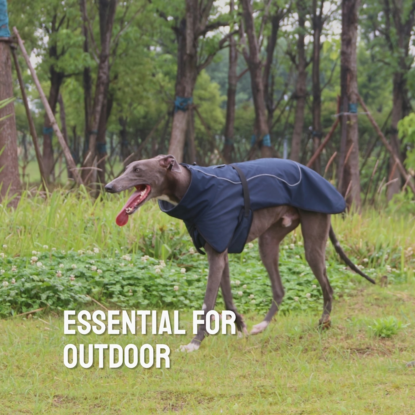 Military-Style Warm Jacket for Dogs