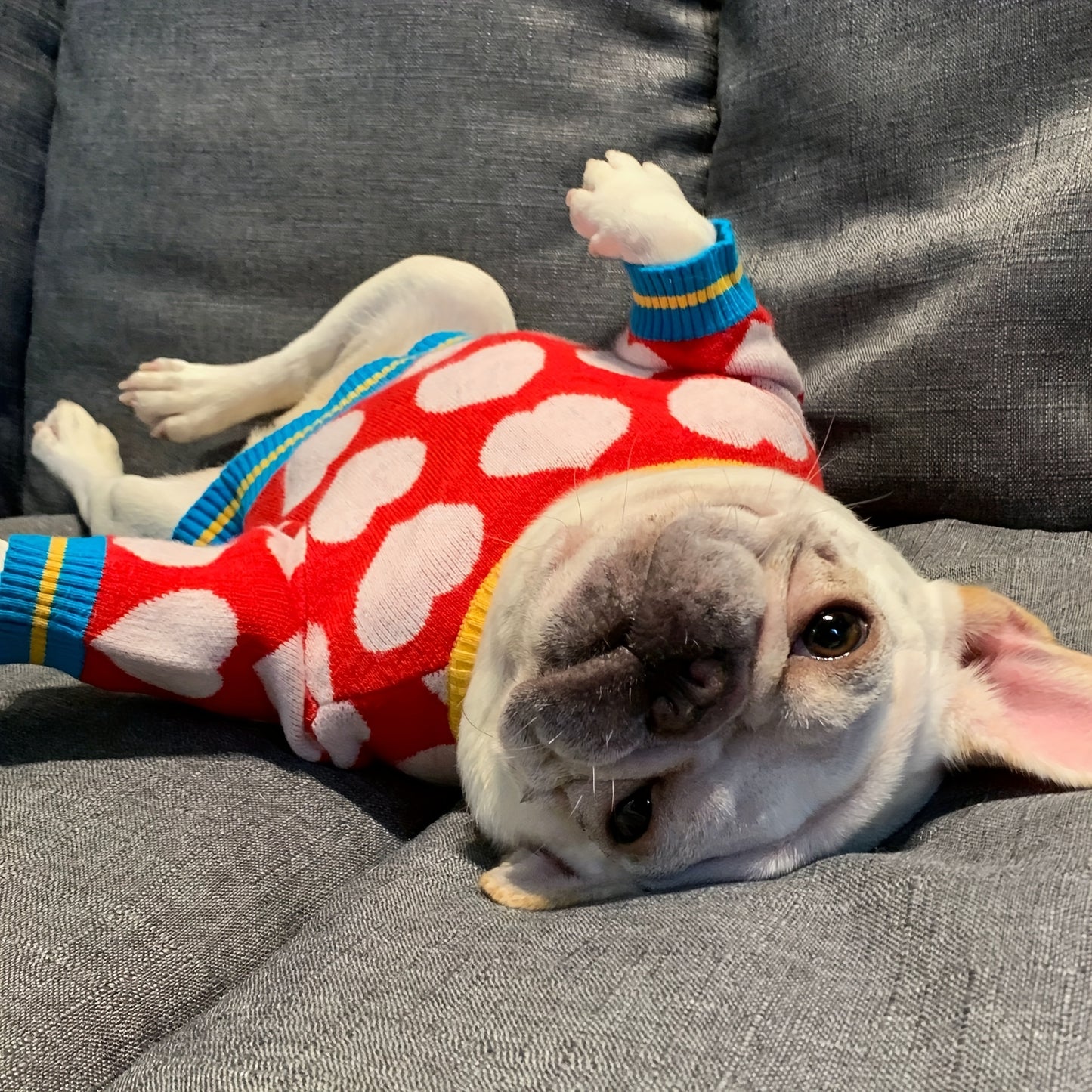 Pet Sweater, Warm Dog Sweater For Cold Weather