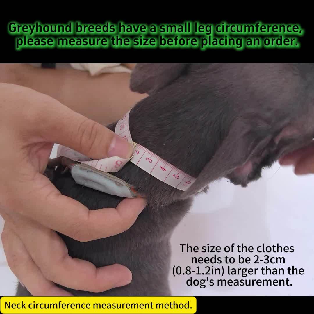 T-Shirts And Clothing for Dogs