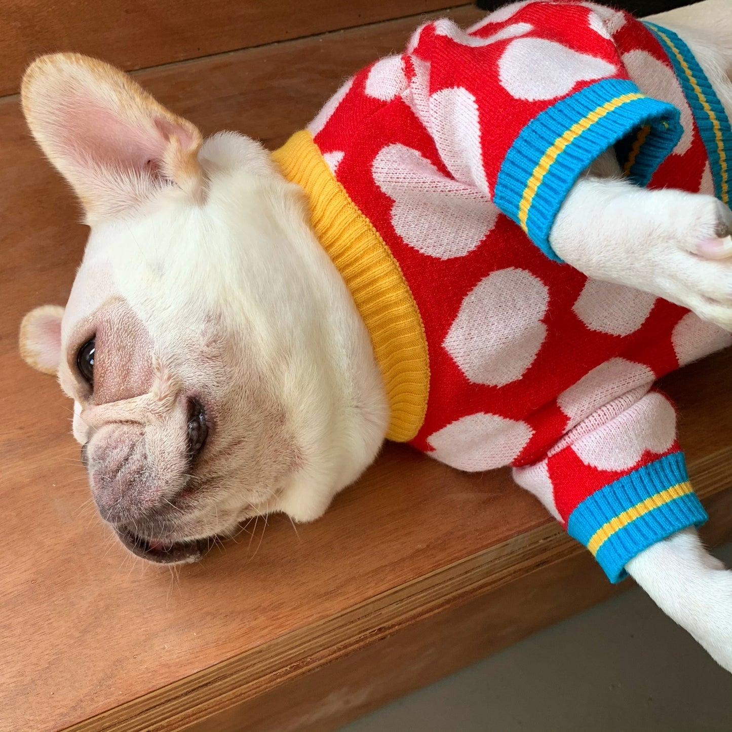 Pet Sweater, Warm Dog Sweater For Cold Weather