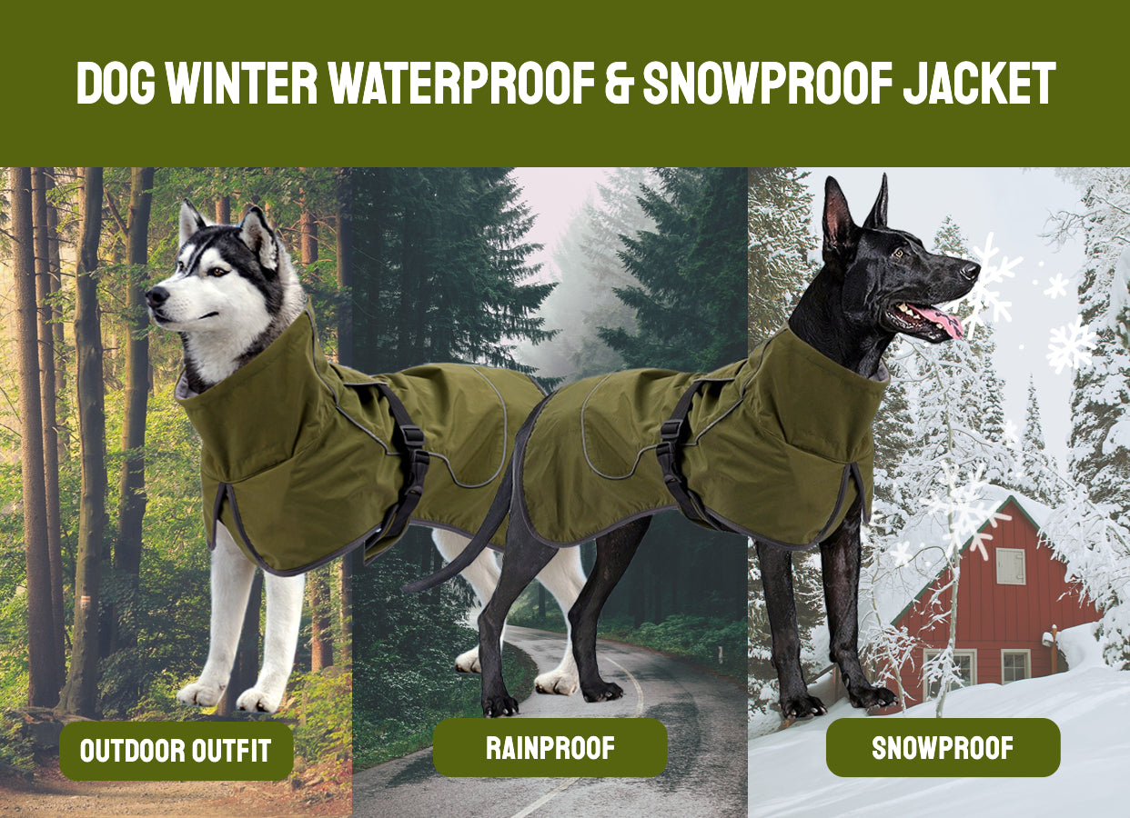 Military-Style Warm Jacket for Dogs