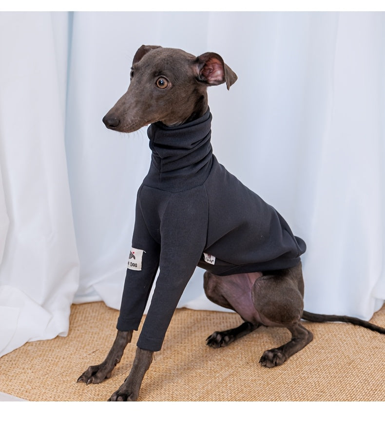 T-Shirts And Clothing for Dogs