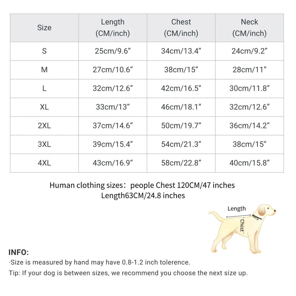 Pet and owner matching outfit