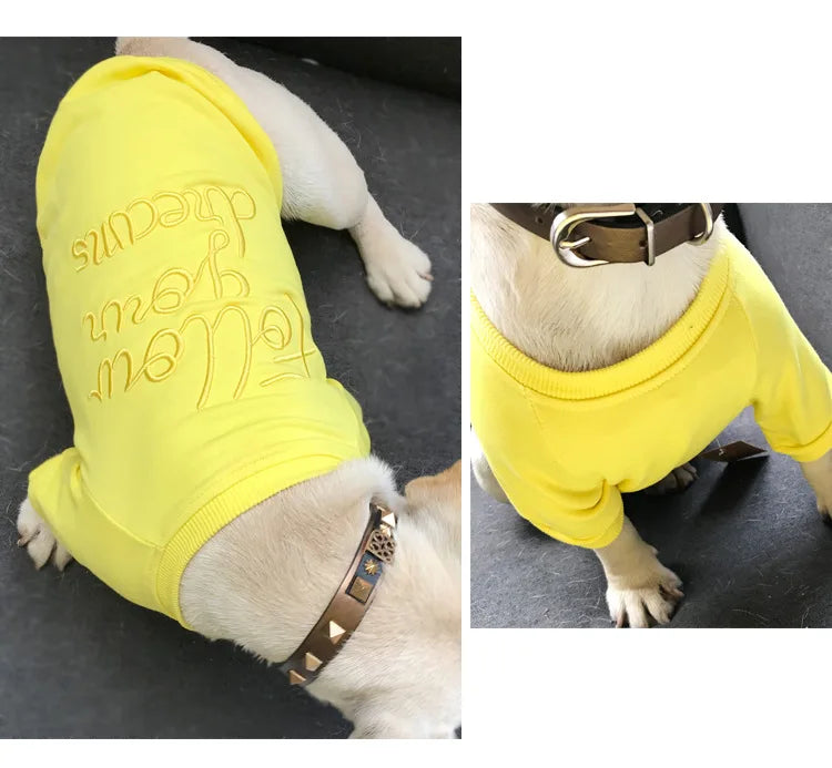 Matching human and pet apparel