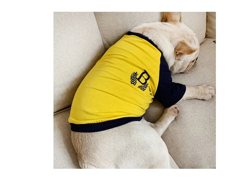 Pet and owner matching outfit