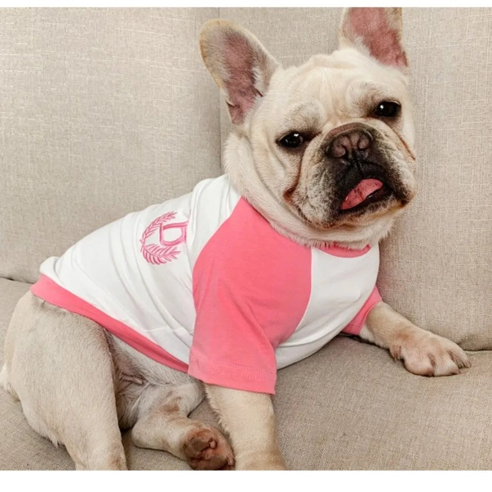 Pet and owner matching outfit