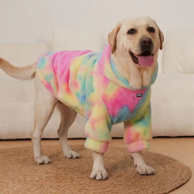 Matching Dog and Owner Hoodies