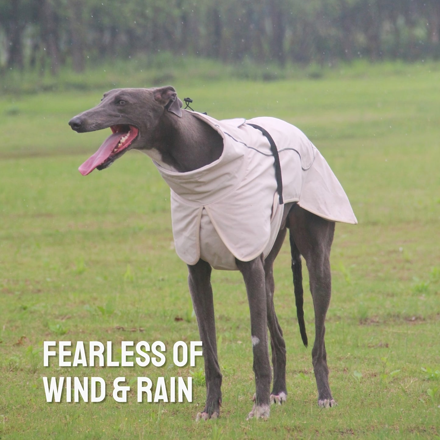 Military-Style Warm Jacket for Dogs