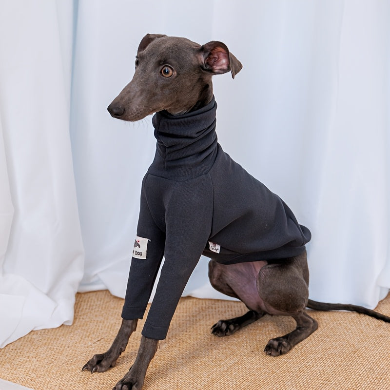 T-Shirts And Clothing for Dogs