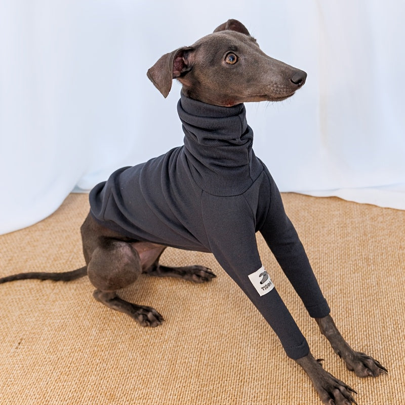 T-Shirts And Clothing for Dogs