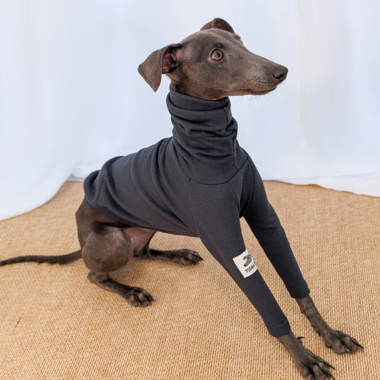 T-Shirts And Clothing for Dogs