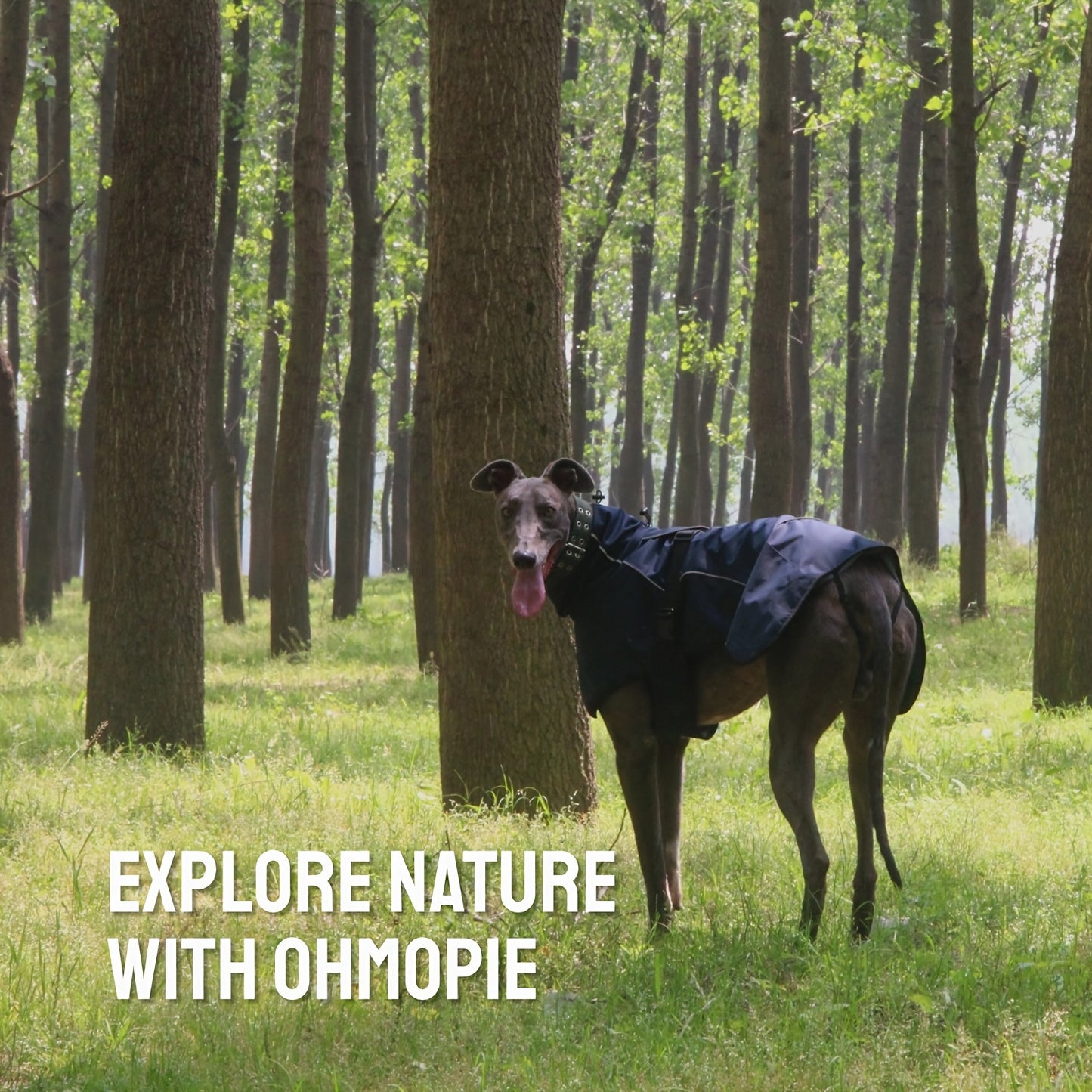 Military-Style Warm Jacket for Dogs