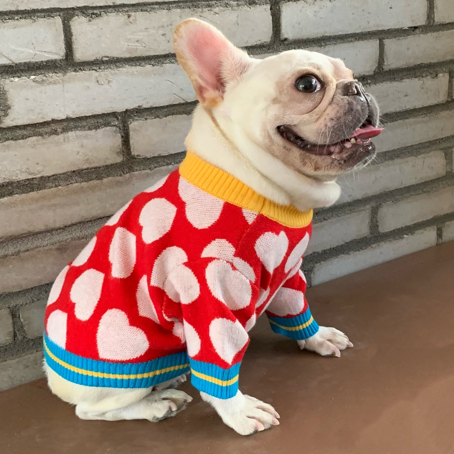 Pet Sweater, Warm Dog Sweater For Cold Weather