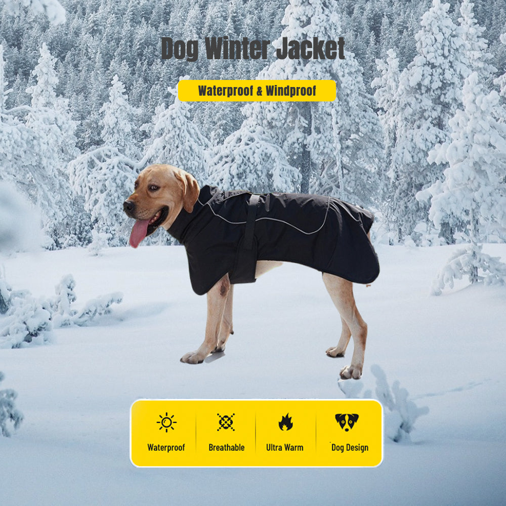 Military-Style Warm Jacket for Dogs