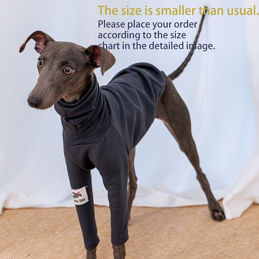 T-Shirts And Clothing for Dogs