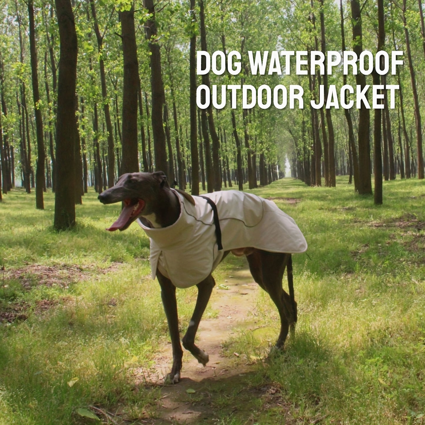 Military-Style Warm Jacket for Dogs