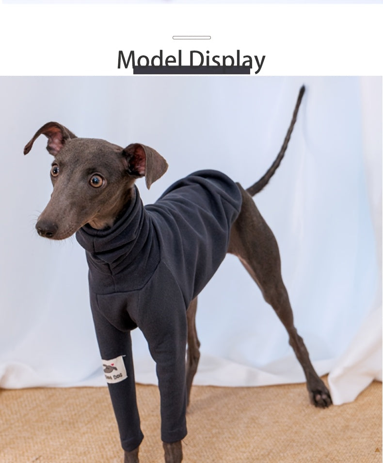 T-Shirts And Clothing for Dogs