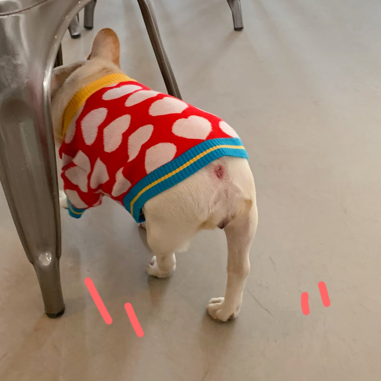 Pet Sweater, Warm Dog Sweater For Cold Weather
