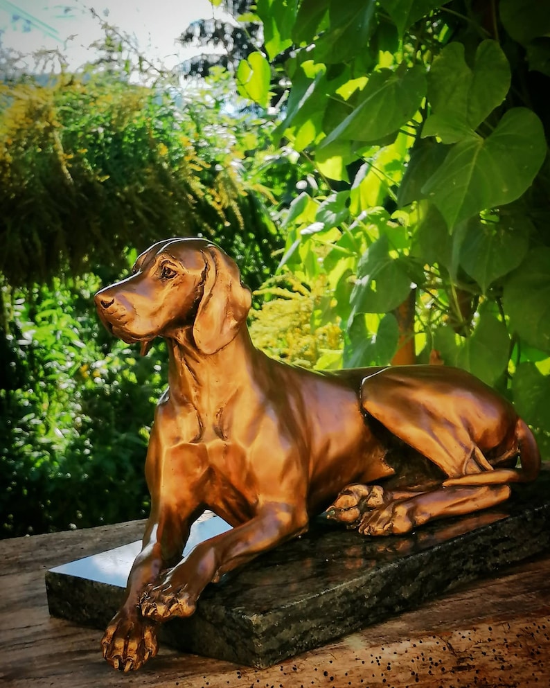 Lying Hungarian Vizsla Bronze statue