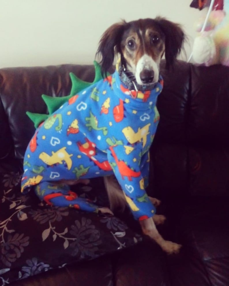 Dog dinosaur pyjamas, onesie, terrier, whippet, Italian, lurcher, greyhound